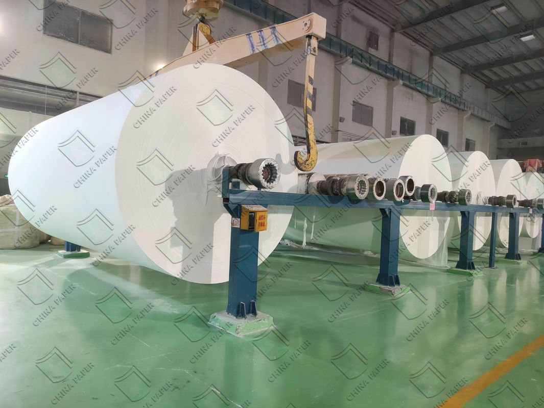 200-350gsm Jumbo Roll Size White FBB Board For Packaging Box