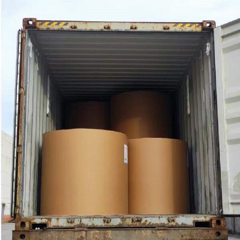 100% giấy màu bột nguyên thủy và Bristol Board với kích thước cuộn giấy