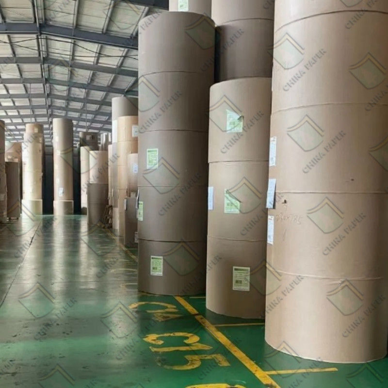 190-340g Lpb Milk Box Paper Board Food Grade Liquid Packaging Board in Roll with Super Quality