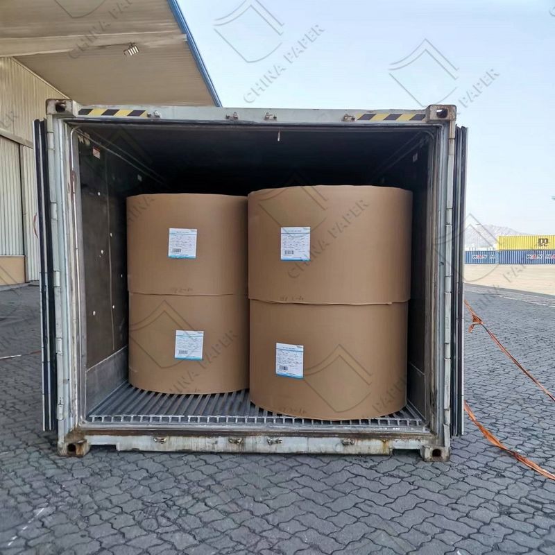Bulk PE-Coated Cupstock Paper Rolls High-Temperature Resistant 120°C For Coffee Cup Liners