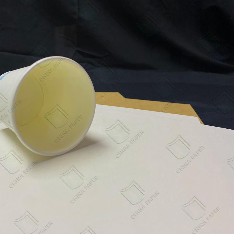 190-330gsm Clay Coated Cupstock For Bulk Milk Tea And Coffee Orders