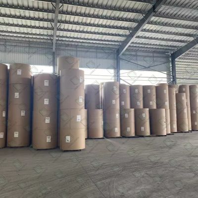600 mm x 900 mm einseitig beschichtete Duplexplatte mit laminiertem grauen Rücken