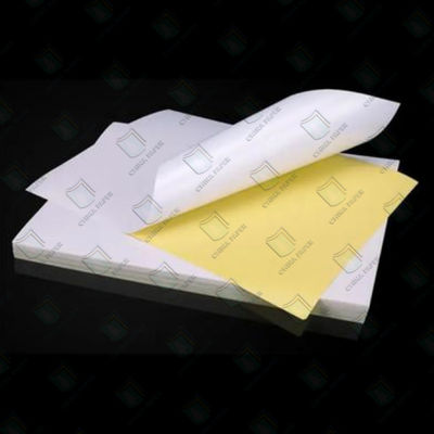 Gewone witte zelfklevende thermische plakpapierrolletjes voor barcode-etiketten