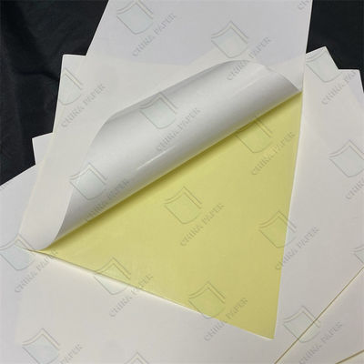 High Glossy / Semi Glossy / Offset Paper Self Adhesive Sticker Paper For Professional Labeling Results
