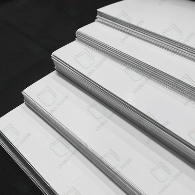 Reliable FBB Rolls For High-Volume Printing And Packaging Production High Bulk Ivory Board