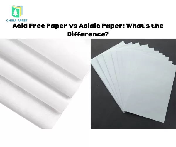 Acid Free Paper vs Acidic Paper: What's the Difference?