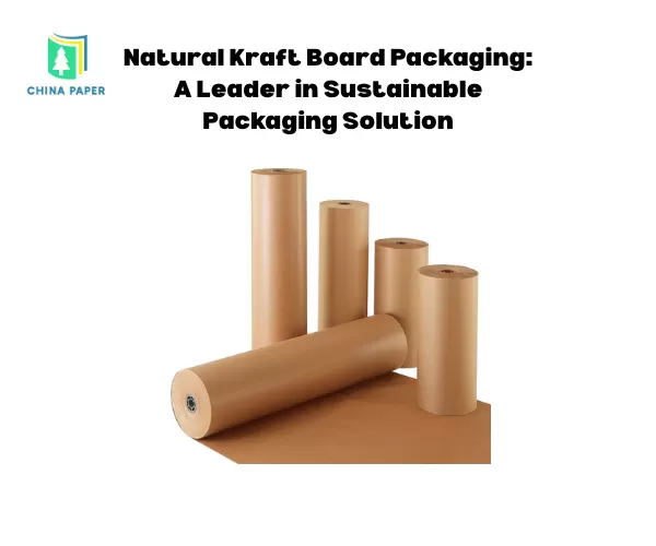Natural Kraft Board Packaging: A Leader in Sustainable Packaging Solution