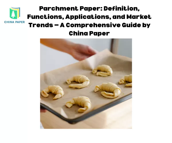 Parchment Paper: Definition, Functions, Applications, and Market Trends — A Comprehensive Guide by China Paper
