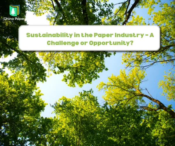 Sustainability in the Paper Industry – A Challenge or Opportunity?