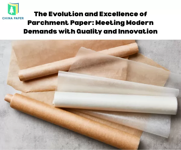 The Evolution and Excellence of Parchment Paper: Meeting Modern Demands with Quality and Innovation