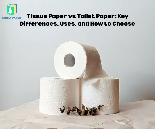 Tissue Paper vs Toilet Paper: Key Differences, Uses, and How to Choose