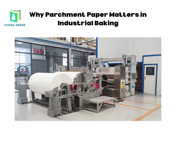 Why Parchment Paper Matters in Industrial Baking