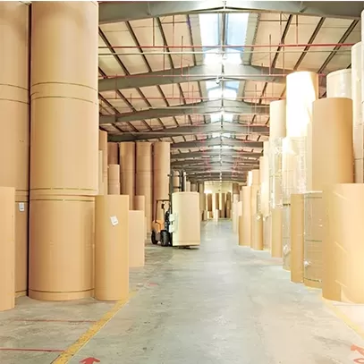 Absorbent Kraft Paper