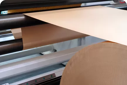 Packaging Paperboard