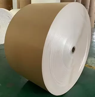 Coated Board Kraft Back (CKB)