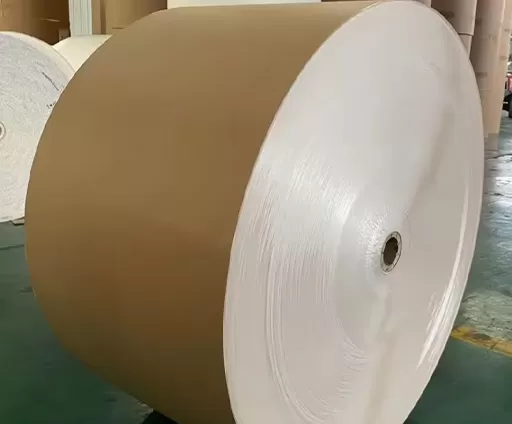 Coated Board Kraft Back (CKB)