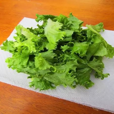 Culinary & Food Prep