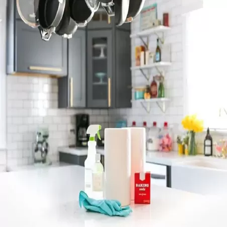 Eco-Conscious Offices & Facilities