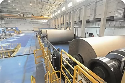 Food Packaging Board