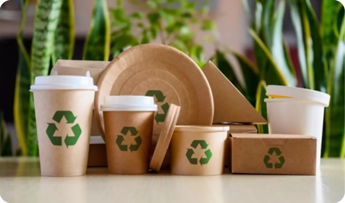 FSC® Certified Products