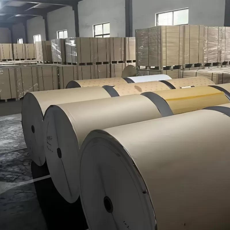 Liquid Packaging Board