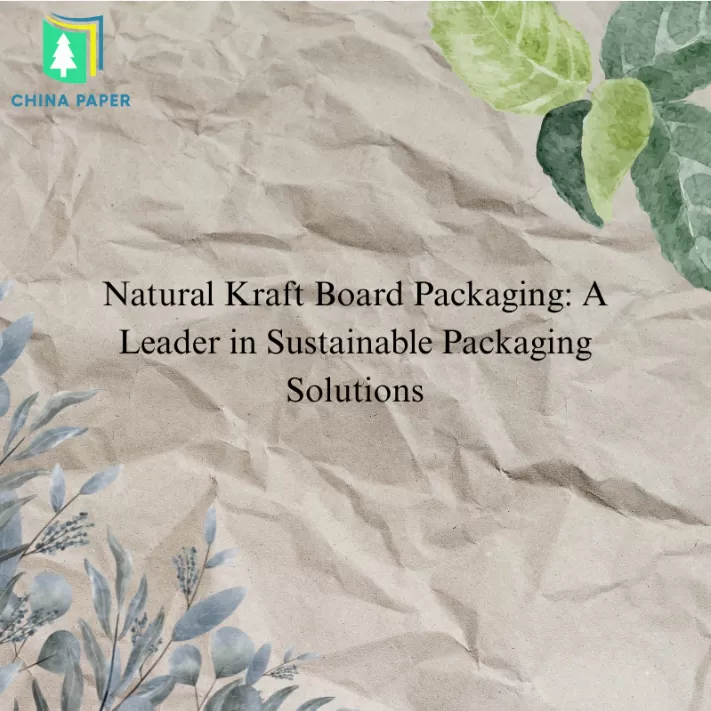 Natural Kraft Board Packaging: A Leader in Sustainable Packaging Solution