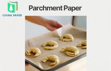 Parchment Paper: Definition, Functions, Applications, and Market Trends — A Comprehensive Guide by China Paper