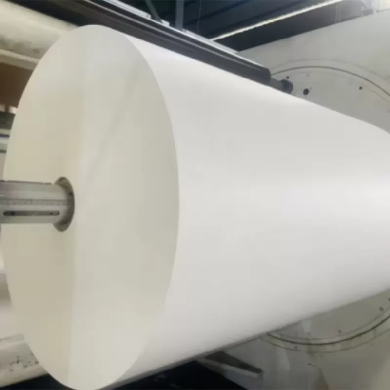 PE Coated Mg Paper