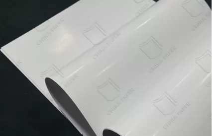 Properties and Applications of C2S Coated Paper