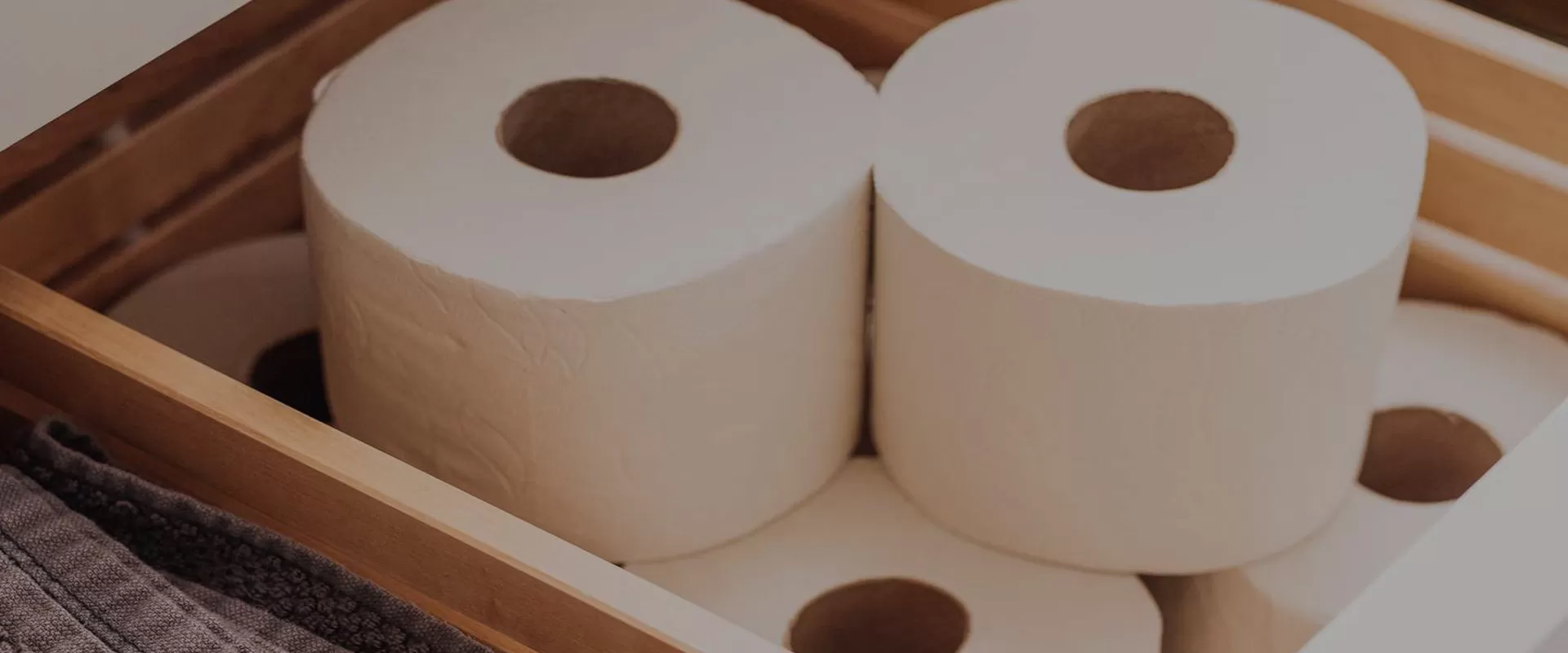 Tissue Paper Supplier | China Paper