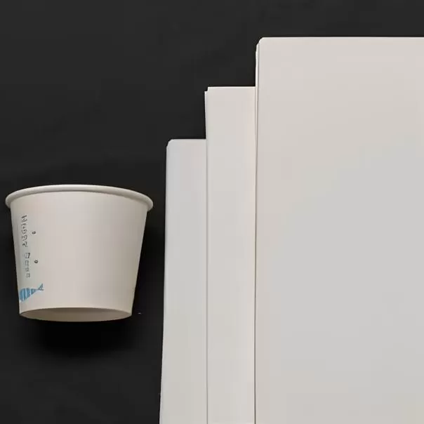 Uncoated Cupstock Base Paper