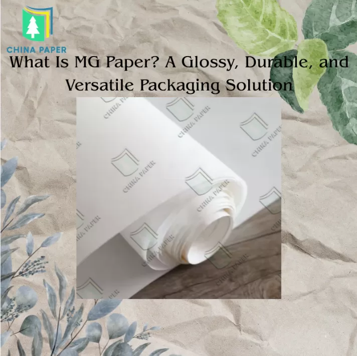 What Is MG Paper? A Glossy, Durable, and Versatile Packaging Solution