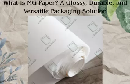 What Is MG Paper? A Glossy, Durable, and Versatile Packaging Solution